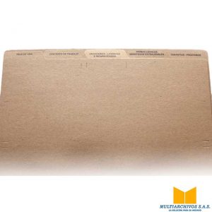 multifolder hoja de vida estándar